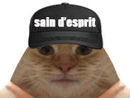 :chat_sain: