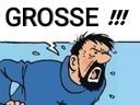 :Haddock_grosse: