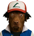 :teddisasha: