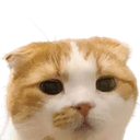 :ggomo: