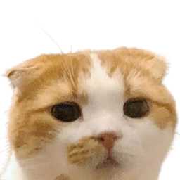 :ggomo: