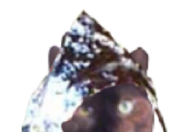 :alu: