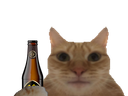 :ChatBiere: