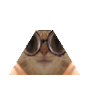 :chat-lunettes-pyramide: