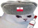 :chat_pologne_vodka: