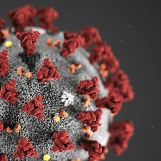 Coronavirus