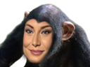 :mqsinge: