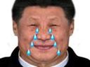 :xi_jiping_larmes: