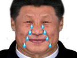 :xi_jiping_larmes: