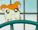 :Hamtaro_gauche_droite: