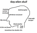 :Gay_alien_skull: