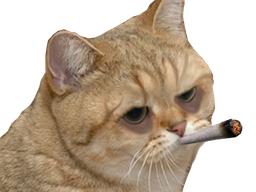 :matou_petard: