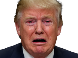 :Trump_chiale_: