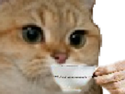 :chat_cafe: