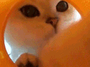 :Viens_la_toi: