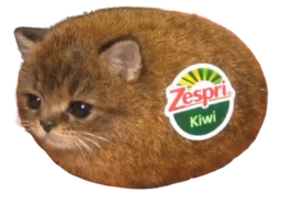 :chatkiwi: