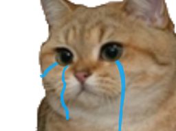 :sodium_triste: