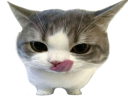 :chatlangue: