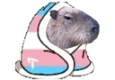 :FaisPoChaud_Capybara: