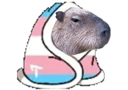 :FaisPoChaud_Capybara: