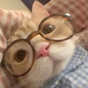 :potit: