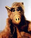 :alf: