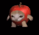 :Chattourne: