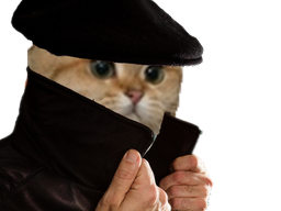 :sodium_espion: