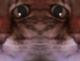 :chat_moche1: