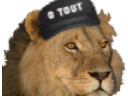 :0lion: