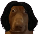:teddirogue: