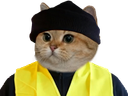 :sodium_gilet2: