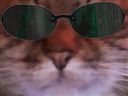 :chat_zoom_matrix: