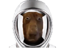 :Teddi-cosmonaute: