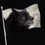 Photo de profil de niknak