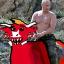 :Vache_poutine: