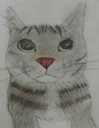 :CS_dessin: