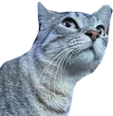 :cs_chokbar: