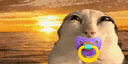 :itsBeautifulTetine: