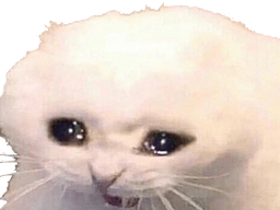 :14yocat: