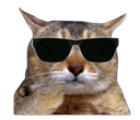 :Chatchadd: