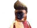:Dogo_Dissapointed: