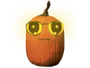 :Chat_citrouille2: