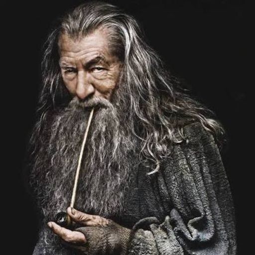 Gandalf_le_gris