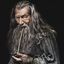 Photo de profil de Gandalf_le_gris