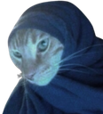 :Chat_vador: