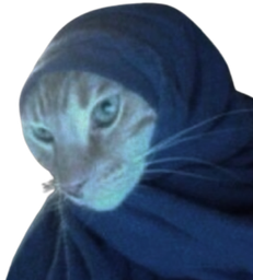 :Chat_vador: