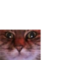:chat_zoom_petit: