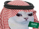 :chat62: