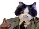 :chatbo: